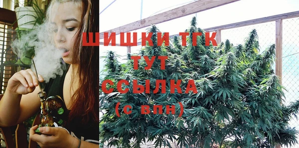 apvp Осинники